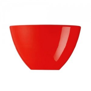 Arzberg Profi Kaffeegenuss Red Schüssel 