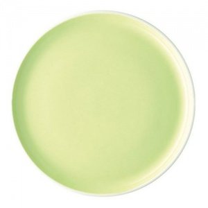 Arzberg Profi Meadow Speiseteller 27 cm