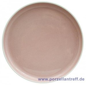 Arzberg Profi Powder Speiseteller 27 cm