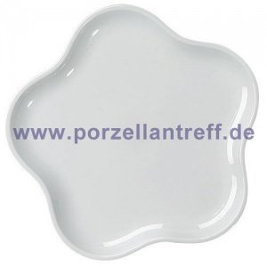 Arzberg Profi Virgin white Platte flower