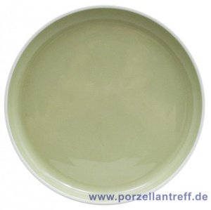 Arzberg Profi Willow Speiseteller 27 cm