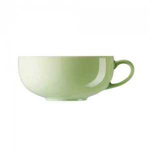 Arzberg Teaworld Tunis Asia Tee Obertass