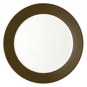 Arzberg Tric Sepia Speiseteller 27 cm