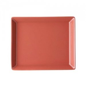 Arzberg Tric Terra Servierplatte rechtec