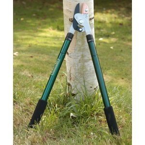 Astschere mit Teleskopgriffen