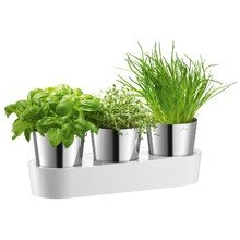 Herbs@Home Kräutergarten