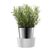 Auerhahn - Herbs@Home Kräutergarten Einz