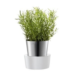 Auerhahn Kräutergarten single HERBS HOME