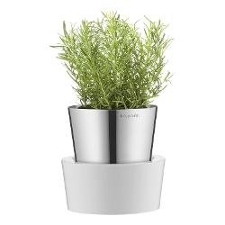 Auerhahn Würzen und Servieren - Herbs@Ho