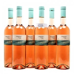 Aufricht Seegucker Rotling trocken 6er V