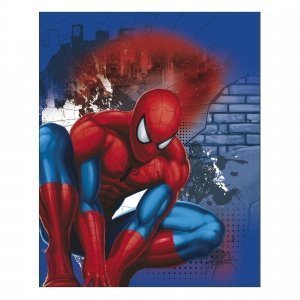 Autokuscheldecke blau, rot