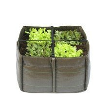 Bacsac - Bacsquare 4