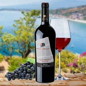 Baglio Gibellina Terremoto Rosso Merlot 