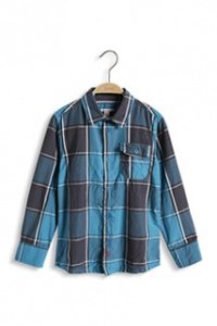 Basic Karohemd aus Baumwolle