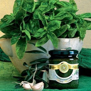 Basilikum Pesto Genoveser Art nach altem