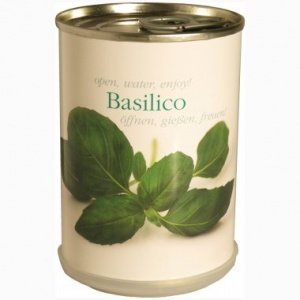 Basilikum aus der Dose