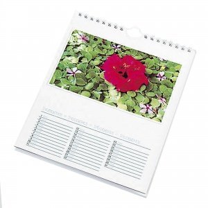 Bastelkalender zum Selbstgestalten