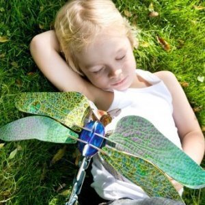 Bastelspielzeug Totem Libelle Coza