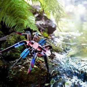 Bastelspielzeug Totem Spinne