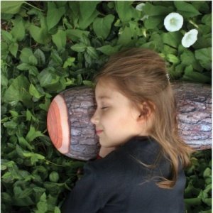 Baumstamm Kissen Kiefer