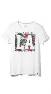 Baumwoll Jersey Print-T-Shirt