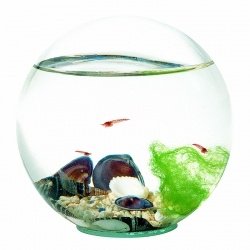 Beachworld Classic Sand Kugel 12,5cm