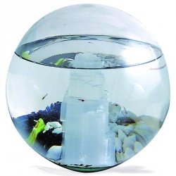 Beachworld Glaskugel Selenit Stein