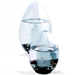 Beachworld Oval Selenistein