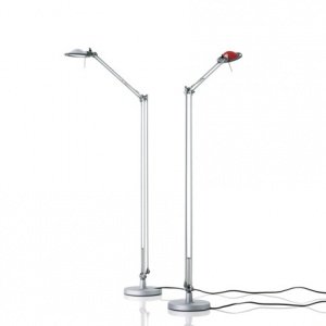 Berenice Steheuchte (2 Stk)