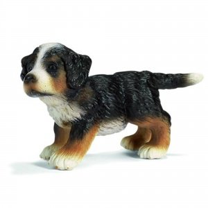 Berner Sennenhund Welpe