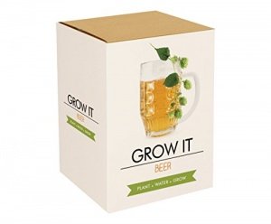 Bierhopfen Grow it