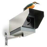 Big Brother Vogelhaus