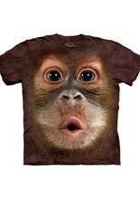 Big Face Baby Orangutan The Mountain Kin