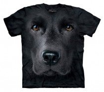 Big Face Labrador T-Shirt in M