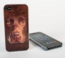 Big Face iPhone 5 5S Case Labrador