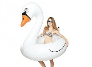 BigMouth Aufblasbarer Schwan 