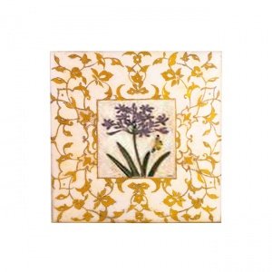 Bild Schmucklilie (Abb. 4)