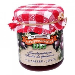 Bio Fruchtaufstrich Jostabeere Außerpers