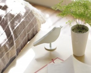 Bird Alarm Clock