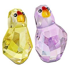 Birds on Broadway - Jim & Jess