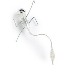 Black + Blum - Climbing Light