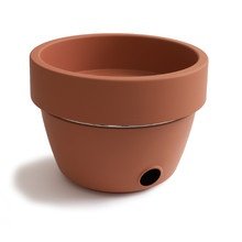 Black + Blum - Hot pot BBQ