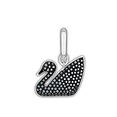 Black Swan Charm
