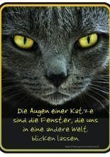 Blechschild Die Augen einer Katze...