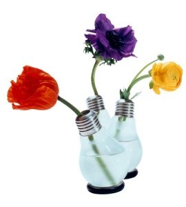 Blühbirne - Glühbirnen-Vase