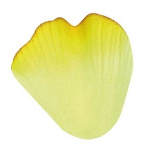 Blütenblätter, gelb