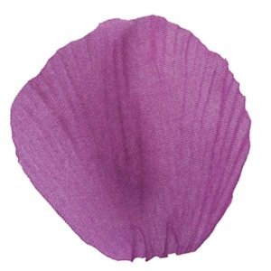 Blütenblätter, pflaume