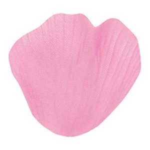 Blütenblätter, rosé