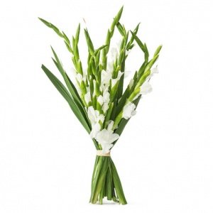 Blumengesteck -Delicate Note-