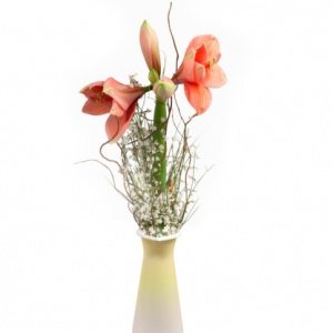 Blumengesteck "Goddess"